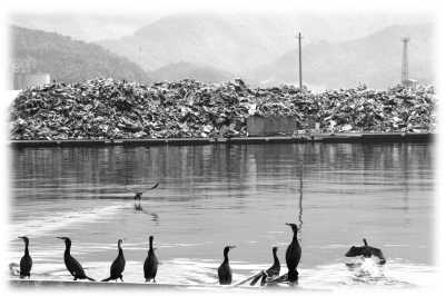 Japan One Year after the Tsunami
