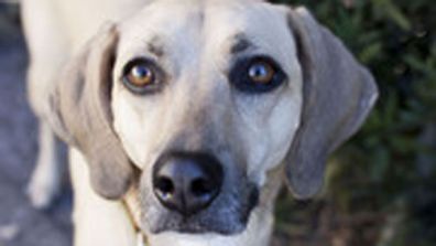 ���˹��¶��ɻ���� ����17�껨����Ů