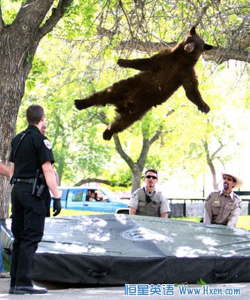 ���У԰�ܳ�û ����������׹�����ݿ��з���