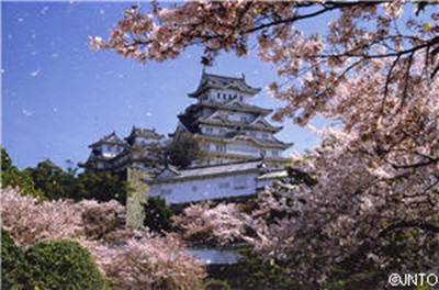 ȫ������ʻ�ʤ���̵�