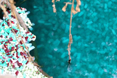 ����֣����ˮ���������ҿ�