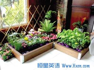 Balcony Gardening