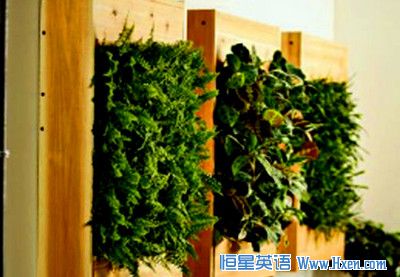 ����ֲ������湦��