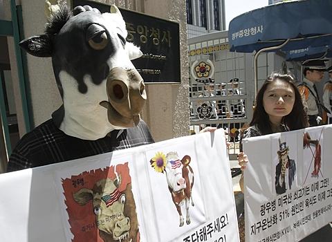 BeefMadCowKorea