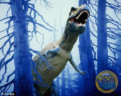 ����������Ƿ�ƨ̫��?!