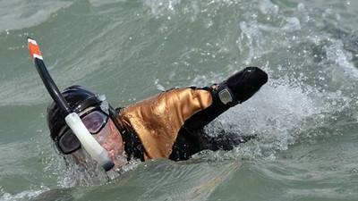 ��֫��ȱ���ӻ�������