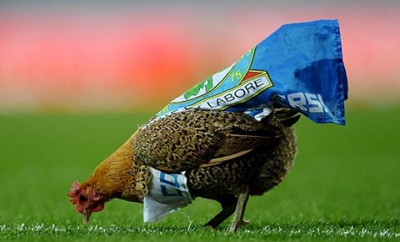 ĸ�����������Ӣ������