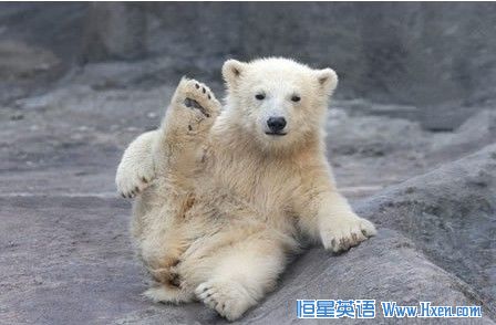 �ɰ������ܱ������٤