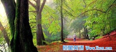 �����ҵĹ���