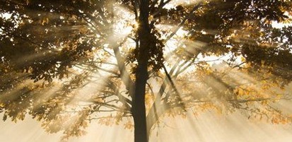 ����������������������