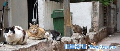 ��ɫ�з�Ϊ550ֻè���