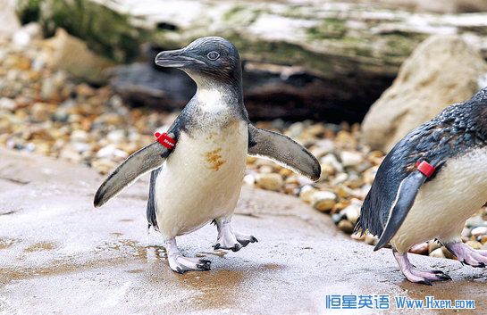 �뺣����Ӿ��͵����� ����ҹ������ˮ���