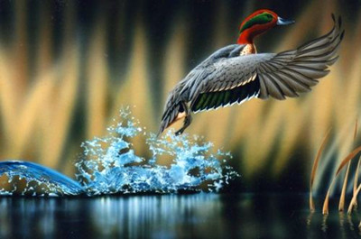 ��СѼ�����ɱ�ر���18������