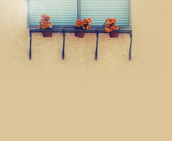 <a href=http://www.hxen.com target=_blank class=infotextkey>Ӣ</a>ļд