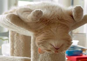 ͸��˯�࿴�Ը�