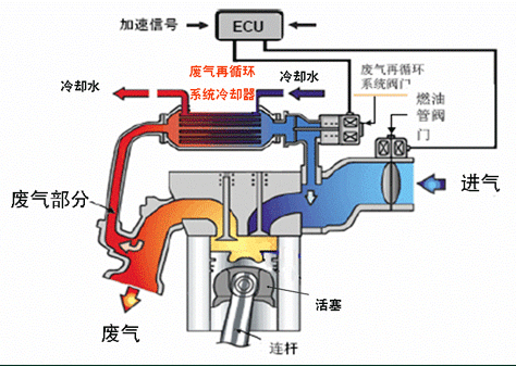 ������֤֯ʵ���ͷ����ɵ��·ΰ�