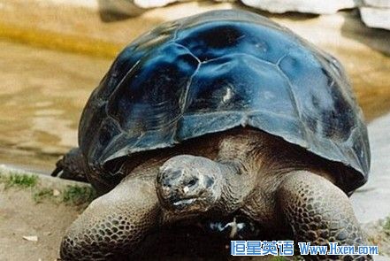 ����115���ڹ����