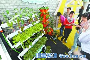 Urban Agriculture