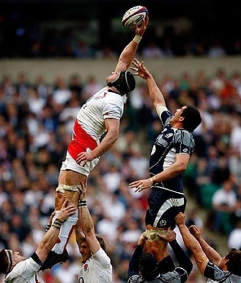 �������������̳�����