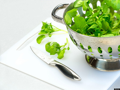 ����Ҫ�ǵó�������ʳ��