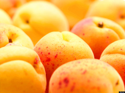 ����Ҫ�ǵó�������ʳ��