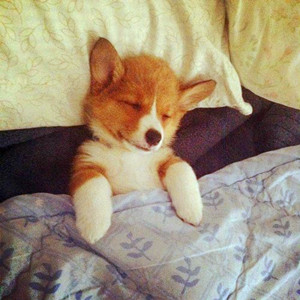 ͸��˯�࿴�Ը�