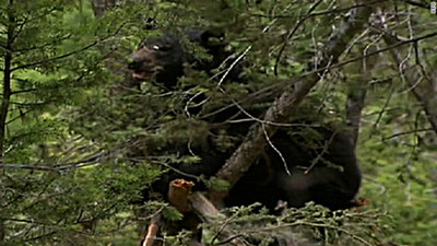 �Ե�������ɱ�˷� ���ܻ򱻴���