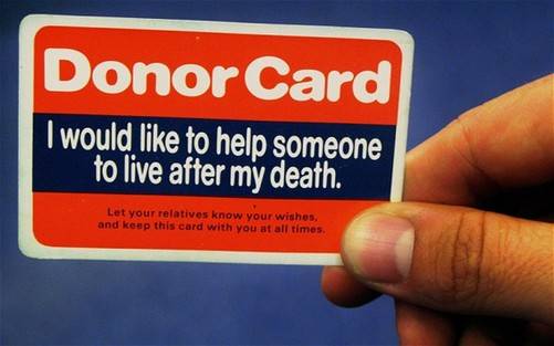 ���پ�������