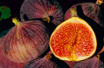 ����Ҫ�ǵó�������ʳ��