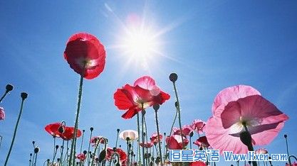 ���ھ����ϵļ�����