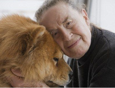 �������������������������