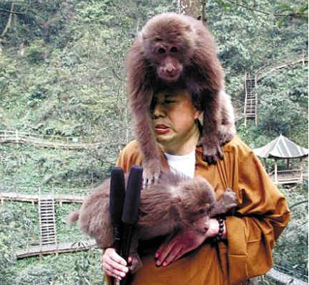 ��ʦ�����ߺ�