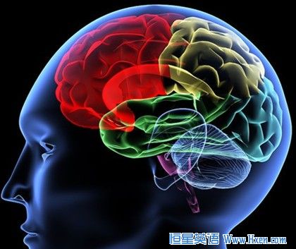 ��5ʽ�����������