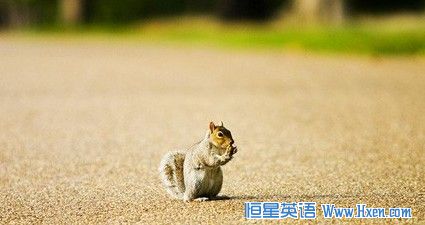 ��˼�����в�����very���ε����ݴʺͷִ�