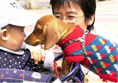 ������ͥ��Ӥ��������