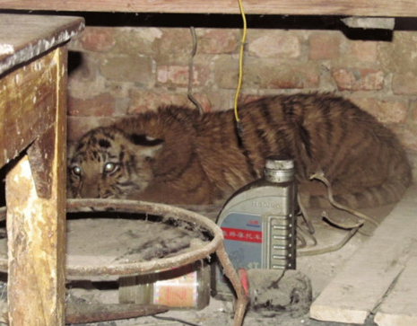 С�ϻ���Ȼ����������