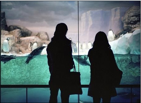 �̵�������ĩ�������Ŵ�Լ�᳡��