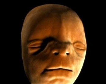 �����������γɵ�