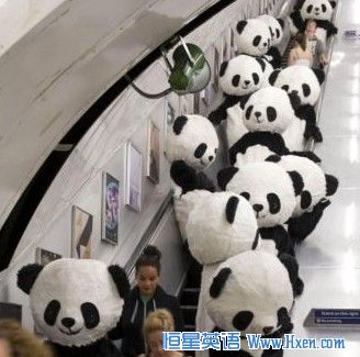 ����è�׶ؽ�ͷ��̫��