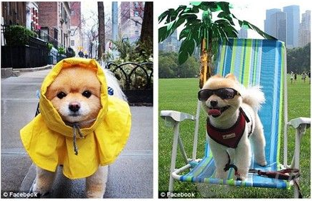 ���������ȹ���������50����Ԫ���ϴ�ս