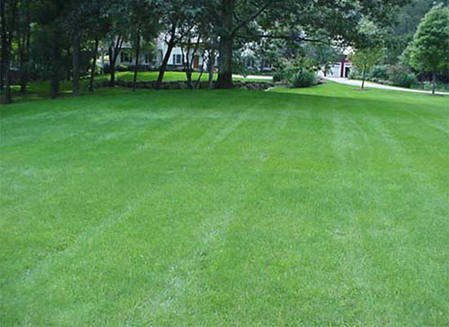 �����²�ƺ�ݻ� ��������Ӧ��