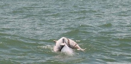 �������豳����С����ؼ�