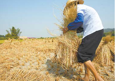 ����������������̧��ȫ������