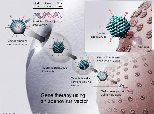 ��֢�����Ʒ�ȡ����ͻ��