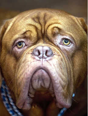 ��������ܸ��������������