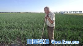 In the Garden: Growing Onions