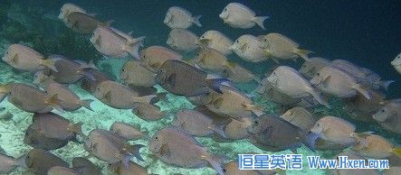 Ϊʲô����ϲ����Ⱥ���