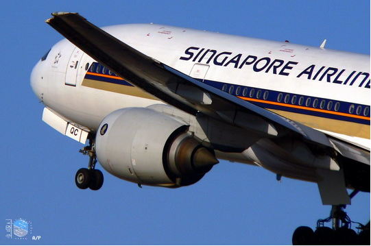 ���пͳ�ɱ�����������г�