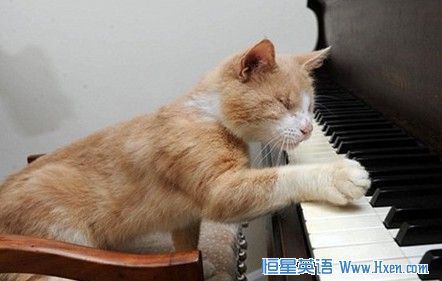 Ӣ��äè�������� �����ֵ�������֪����