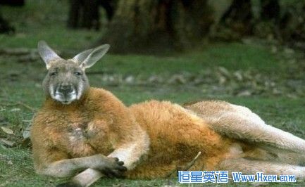 �¹�����԰����Ұ�����������